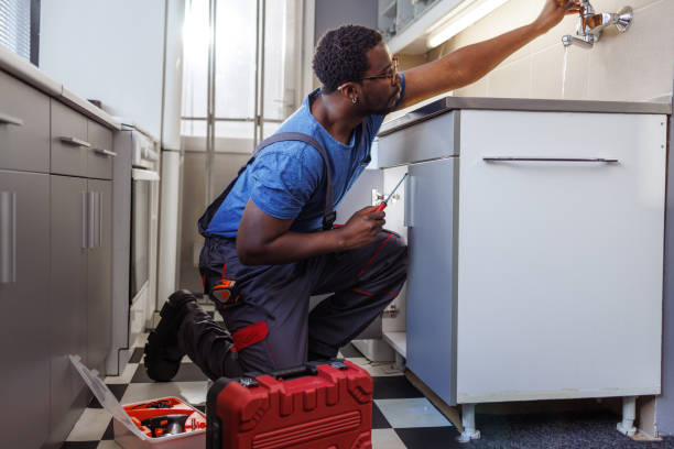 Best Clogged Drain Plumber  in Maysville, MO