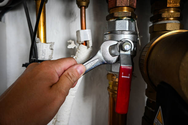 Best Same-Day Plumbing Service  in Maysville, MO